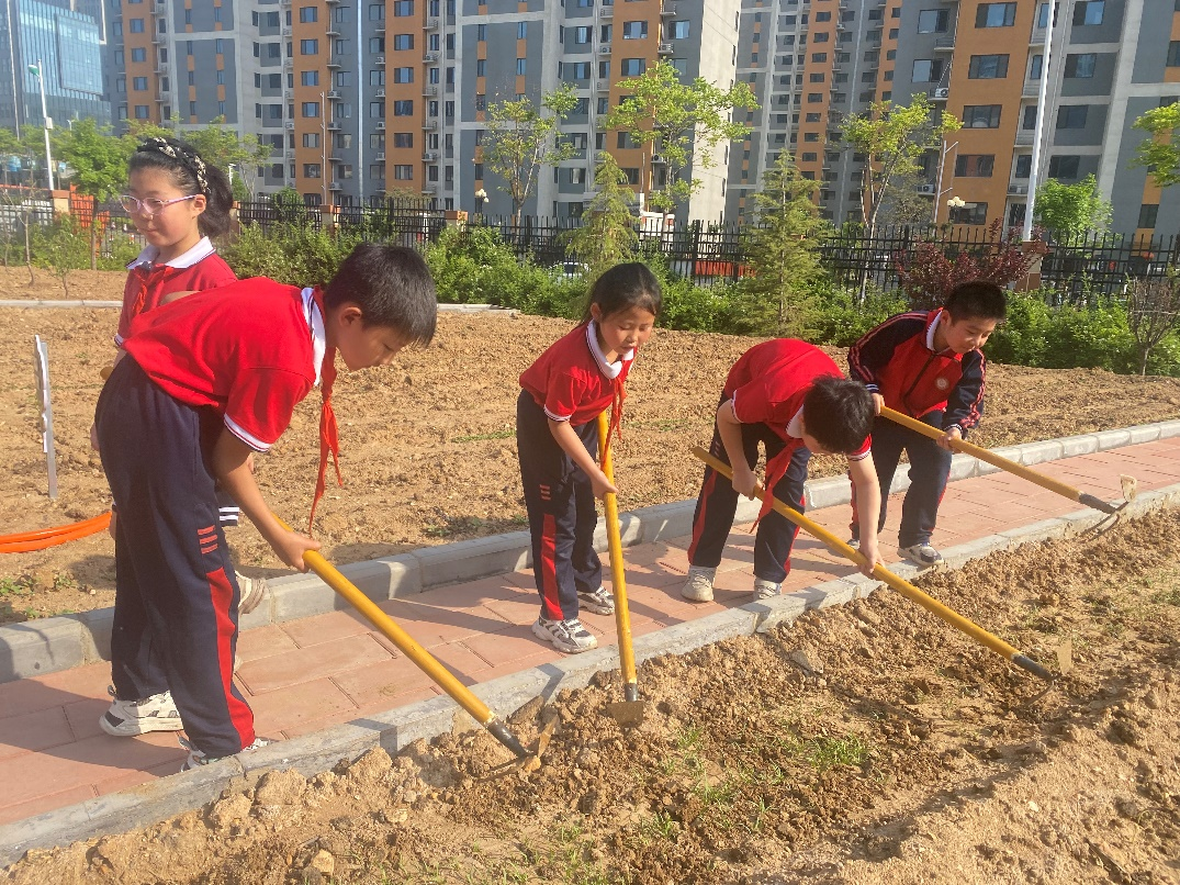 【校園風采】高新區水泉小學：植根半畝田園 朝向幸福生長